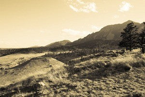 Roca